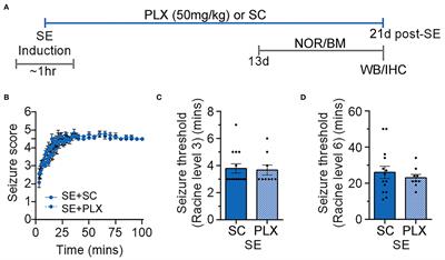 Suppression of Microgliosis With the Colony-Stimulating Factor 1 Receptor Inhibitor PLX3397 Does Not Attenuate Memory Defects During Epileptogenesis in the Rat